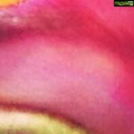 Sneha Ullal Instagram -