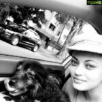 Sneha Ullal Instagram - My baby and i going to the vet Looks like an old B and W pic