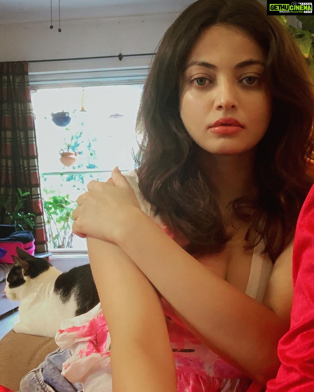 1080px x 1350px - Sneha Ullal's Most Liked Photos and Posts - Gethu Cinema