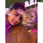 Srushti Dange Instagram - My party usually includes Fur and paws 🐾 🤷🏼‍♀️