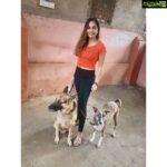 Srushti Dange Instagram - Dogs before Dudes 🤪🤷🏼‍♀️ @lucyruspinlove #lucyruspin