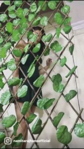 Tanushree Dutta Instagram - 
