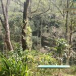 Aditi Balan Instagram - Being in the forest, trekking to such amazing spots , listening to the voices of birds and insects , sound of the stream flowing nearby , beautiful sunsets , meeting new people everytime I travel , learning names of plants and birds, away from connectivity , digital detoxing , local food from the places I travel to, silence and pauses ... These are a few of my favourite things. P.s : pictures won't do justice to the place.