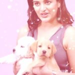 Nidhhi Agerwal Instagram – With the best company 🤍 #doglover
