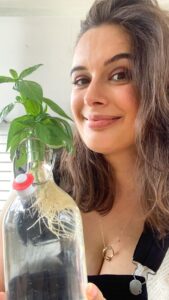 Evelyn Sharma Instagram - Ever thought about growing your kitchen herbs in recycled glass bottles? 👩🏻‍🌾 Here’s how to propagate endless delicious basil in JIVA bottles! 😍♻️ @jivaproducts 

#tooprettytotoss #recycle #kitchenherbs #basil #jivakombucha #healthylifestyle #gardening #evelynsharma #allthatglitters