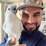 Tovino Thomas Instagram - ഇരയുടെ ഇര !!! #iratheumbrellacockatoo #umbrellacockatoosofinstagram Ras Al Khaimah, United Arab Emirates