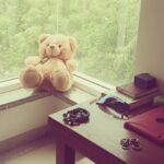 Pearle Maaney Instagram - Guess who is chilling near the window! Meet my lover... Mr.Teddy! 😘😘😘 My only companion here in Hyderabad...donno what I wud hav done without him. 😆 Prashasan Nagar, Jubilee Hills