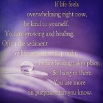 Pearle Maaney Instagram - To be calm... is to be healed...