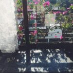Malavika Mohanan Instagram - 🌸