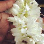 Aishwarya Lekshmi Instagram - Mallipoo 😘😘😘😘 #chennailove