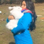 Ashnoor Kaur Instagram - Oh my god🙈♥️ . . #MomentsLikeThese #AnimalLoverForever #rabbits #manalidiaries #lovelovelove Solang "The Adventure Valley"