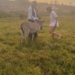 Priya Anand Instagram – I’m Just A Girl Who Loves Sunshine & Donkeys! 💛