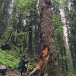 Tara Sutaria Instagram - The week/holiday/trek that changed my life! Kheerganga