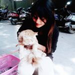 Alekhya Harika Instagram - cats can also be loved 😚❣❣