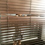Mira Rajput Instagram - Brown Bear Brown Bear what do you see.. 🐻