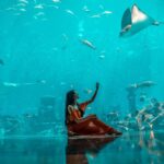 Nora Fatehi Instagram - Surreal 😍🐠🐋 @atlantisthepalm Shot by @therollingprodigy ————————————— #mydubai #norafatehi #levelup #stunning #life #beauty #dubai #india #morocco #toronto #fun #mood #atlantisthepalm #tourism #travel
