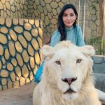 Nora Fatehi Instagram – Its that Lion energy from now on😏 …they so beautiful tho 👀😍

thanks to Masood and his entire team for giving me this opportunity to interact with these beautiful animals who have been rescued from circuses and mistreatment. Your whole team is doing a great job at rehabilitating them.. This was a surreal experience for me and I’ll remember it forever 💛