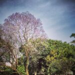 Sanjana Sanghi Instagram - The forces of nature congregate, To paint a picture so surreal that neither you, me nor money can create. #home #vsco #vscocam #savenature DLF Chattarpur Farms