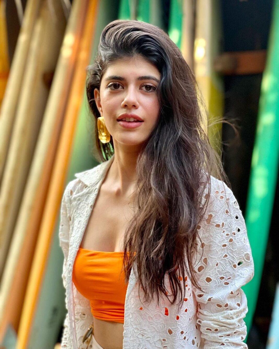 Actress Sanjana Sanghi HD Photos and Wallpapers November 2021 - Gethu ...