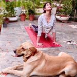 Sanjana Sanghi Instagram - Can I PLEASE teach you how actually to do the upward dog?! 🐶🧘‍♂️ My sweet little yoga companion does not appreciate a human trying to do the upward or downward dog, because it’s clearly only his birth right. Meet Snoop Sanghi, he’s one of our five. And that’s him expressing disapproval. 🤍❌ #YogaFromHome #DogsOfInstagram New Delhi