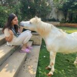 Upasana Kamineni Instagram - Self isolation doesn’t apply to my darling daisy. This is the best time to show pets, how much u love and care about them. Some heartless people have been abandoning their pets during this time - it’s extremely cruel. The love & care u show towards ur pets speaks volumes about ur personality.