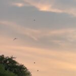 Deepa Thomas Instagram - I’ll give you the visuals and you give the music :) #skyisamiracle #beachwaves #natureisamiracle