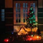 Deepa Thomas Instagram - A home without Christmas crib is nothing! #favouritemonthoftheyear❤️ #blessed #miraclesdohappen Vythiri Wayanad