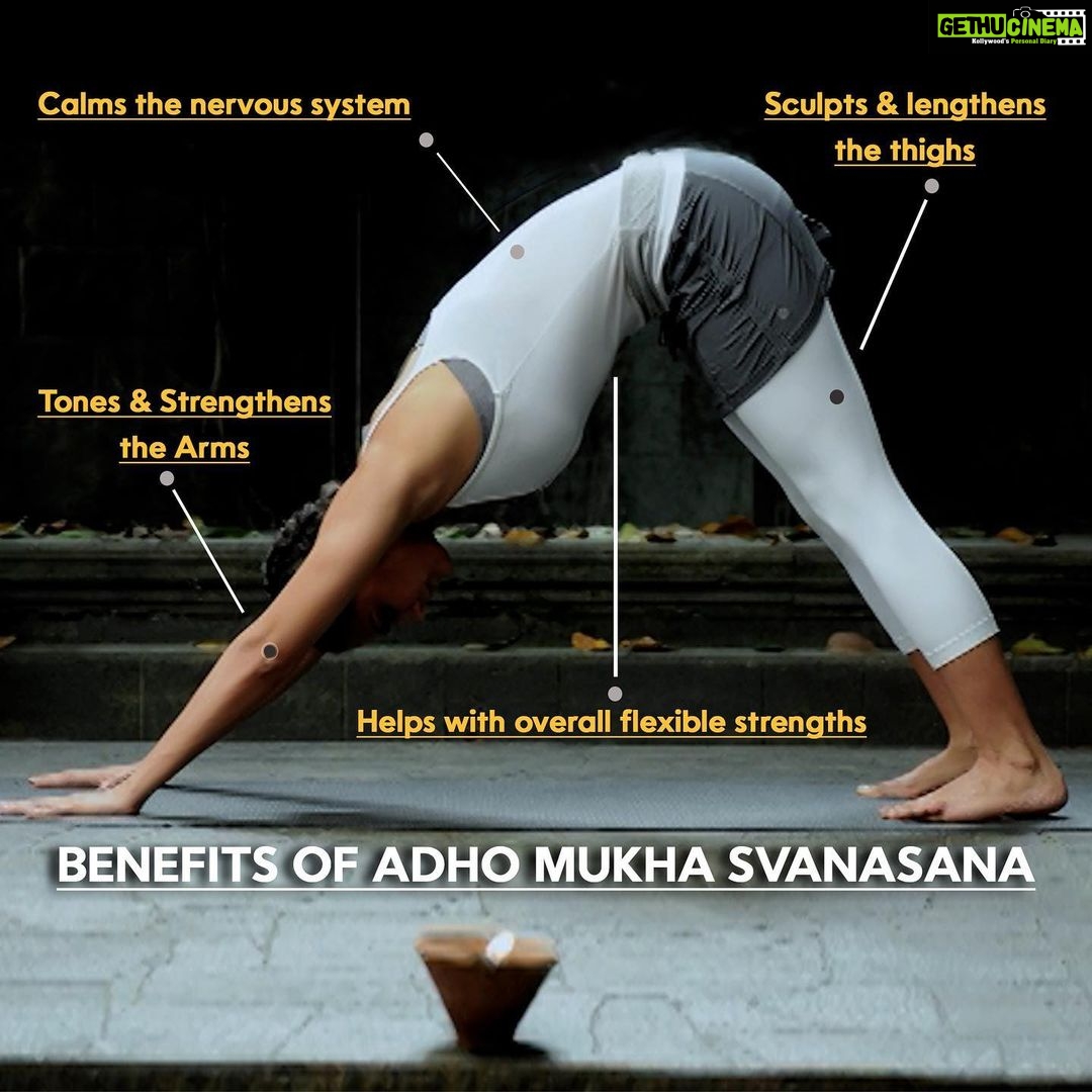 Adho Mukha Svanasana