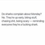 Nikita Dutta Instagram - Best Monday motivation! 😂 #LetsBeAShark Hyatt Regency, Manesar