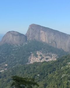 Tina Desai Instagram - For my first hike up a mountain, I chose a Brazilian rainforest. Possibly the best place to start? #tijuca #rainforest #mountainhike #southamerica #firsthike #foreveronvacation