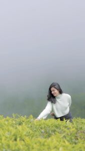 Anju Kurian Instagram - Wishing you all a beautiful day ahead filled with positivi-Tea 🍃! 

.
.
.
🎥- @abi_fine_shooters 

#teaplantation #positivity #naturelover #foggymorning #traveller #mothernature #greenery #teagarden #tealove #ınstagood #morningrun #mondaymood #vibeoftheday #happymonday