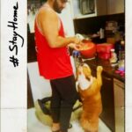 Arjun Kapoor Instagram - I’m sure Maximus the real Gunda sang this song in his head cause it’s the first time he’s seen me the Fake Baker attempt anything in the kitchen !!! PS - (his hips really don’t lie) @aliabbaszafar @ranveersingh @priyankachopra #maximusthegunda Ghar Pe........