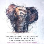 Arushi Sharma Instagram - How we treat animals reflects our society #riphumanity