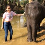 Ashika Ranganath Instagram – Baby ele🐘twinning with my t-shirt! 😉
glad I got meet this cutie and spend some good time giving bath to her.. Meet “kamli” who’s 4 years old n must say she’s a sweetheart💕
Thank you @thejaswini_sharma (especially uncle) for fulfilling my dream😘 
Pc: @janhvi_gowda Dubare Elephant Camp – Coorg