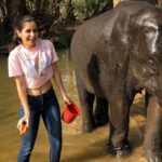 Ashika Ranganath Instagram – Baby ele🐘twinning with my t-shirt! 😉
glad I got meet this cutie and spend some good time giving bath to her.. Meet “kamli” who’s 4 years old n must say she’s a sweetheart💕
Thank you @thejaswini_sharma (especially uncle) for fulfilling my dream😘 
Pc: @janhvi_gowda Dubare Elephant Camp – Coorg