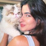 Karishma Sharma Instagram - Mr Snuggles is making me smile alot lately 🐈❤️😍 #pet #catsofinstagram #snuggles #petlovers