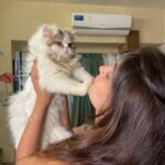 Karishma Sharma Instagram - Mr Snuggles is making me smile alot lately 🐈❤️😍 #pet #catsofinstagram #snuggles #petlovers