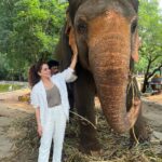 Kashish Singh Instagram - Haathi Mere Saathi……🐘🐘 #elephant #wildlife #wildlifephotography #lifegoals #yolo #lifelessons #bellavitakashish 😀😀🤩🤩🤨🤨😀😀😂😂 Sri Venkateswara Zoological Park