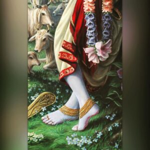 Kashish Singh Instagram - Never let a bad situation bring out the
worst in you. Choose to stay positive
& be the strong person that Krishna
created you to be 🙌 #sorrykrishna  #willfollowurstep #nomatterwhattheysay #nomatterwhathappens #nomatterhowyoufeel #yolo #doyourbest #doyourpart #harekrishna #bellavitakashish 🧚🏻‍♀️🙏🏻