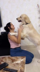 Maryam Zakaria Instagram - Today for the first time I teched @rockycutiegolden to give hug, he learned so fast my boy 😘😘😘❤️
.
.
#goldenretriever #dogtraining #reelswithmz #reelsinstagram #maryamzakaria #doglover