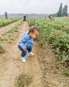 Richa Gangopadhyay Instagram - *BRB, doing Oregon things* 

A perfect, PNW misty-breezy, summer day picking berries 🧺 with friends at Hoffman Farms. I have never tasted strawberries 🍓 so sweet in my life and will never buy them from a store again!

Luca is obsessed with blueberries so needless to say, his tummy was satisfied! 🫐

It's crazy how you get to experience "Oregon life" just minutes outside the city. One moment you're in Portland, the next, you're in vast, rural farmland. There's always so much to do, we wanted to make up, this summer, for the last 2 years of staying cooped up (because of this thing called Covid) and take advantage of all the fun stuff this underrated state has to offer. Luca's soaking it all in and, dad, of course, called it from the very beginning (trust me, it was hard to drag this Michigander away from where she grew up!). 

I've lived in Oregon now for close to 4 years, and though initially I wasn't so sure, I know I'm never leaving 🏞️. 

For our out-of-state friends who still need convincing to come visit us *ahem ahem*, I'm a walking billboard for this place so get over here already!

 

#oregon #pnw #berrypicking #organicberries #hoffmanfarms #oregonlife #oregonsummer #pdxsummer #portland #family #toddler #berryfarm