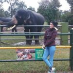 Sonali Raut Instagram - This takes me back to the time when I used to visit the zoo! I guess you never get too old or too excited to see animals. 🐘 #elephant #love #zoo #ooty #TravelDiaries