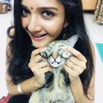 Surabhi Santosh Instagram - #mineminemine #sheismine #catsofinsta #mysilverlining #silver #kittycat♥️