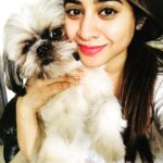 Swathi Deekshith Instagram - Happy international dogs day 🐶 whiskey boy ❤️#latepost #dogsofinstagram