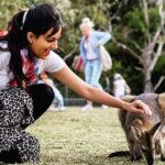 Harika Narayan Instagram – Kangaroo ♥️
#throwback
.
.
.
PC : @harshatejasundara Sydney, Australia