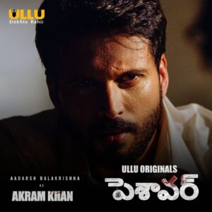 Aadarsh Balakrishna Instagram - Mee andarikosam, Peshawar now in Telugu ❤