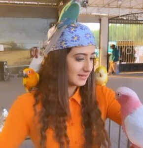 Aalisha Panwar Instagram - Hakuna Matata .. .., 🧡🥺🥰🐯

Disclaimer- These are rescued animals taken care of and very well fed by @uae_lionking they are not drugged or abused and their health care is also taken care of .. 

Thankyou @uae_lionking for letting me have this beautiful experience .. I love them ..