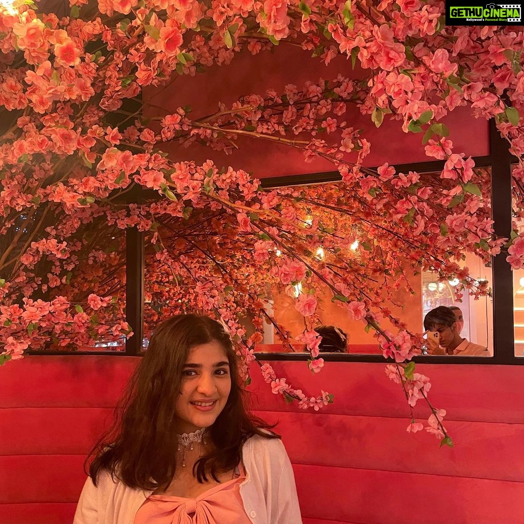 Ananya Agarwal Instagram - 💕life’s Better In Pink💕 - Gethu Cinema