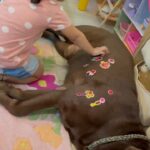 Ankita Bhargava Patel Instagram - To witness this love everyday is a blessing ! 🐶🐕‍🦺🐾👧🏻
