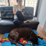 Ankita Bhargava Patel Instagram - Bring Your Son To Office Days Are The Best 🐶🐕‍🦺🐾❤️😍